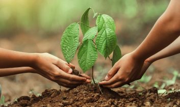 11 Kasım’da Türkiye’den fidan ve katılım rekoru
