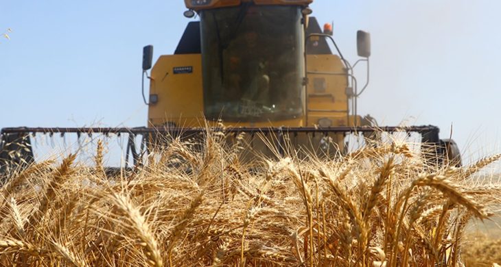 Kasım ayında üreticilere 376,8 milyon lira destek ödemesi yapıldı