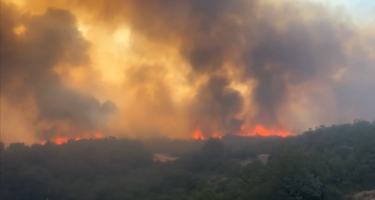 Bursa’nın Yenişehir ilçesinde orman yangını