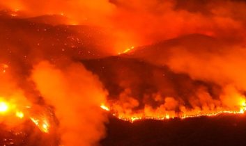 Yeşil Vatan yanıyor: Bursa, Karabük ve Kahramanmaraş’ta son durum