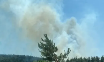 Köyceğiz’de orman yangınına müdahale sürüyor