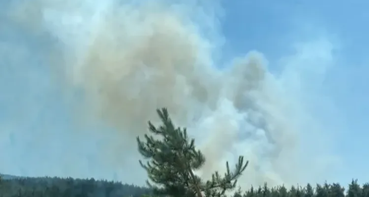 Manavgat’ta tarım arazisinde çıkan yangın ormana sıçradı