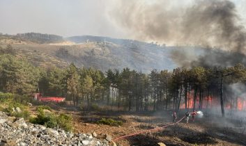 Kocaeli Büyükşehir Belediyesi’nden Bursa’daki yangına tam destek