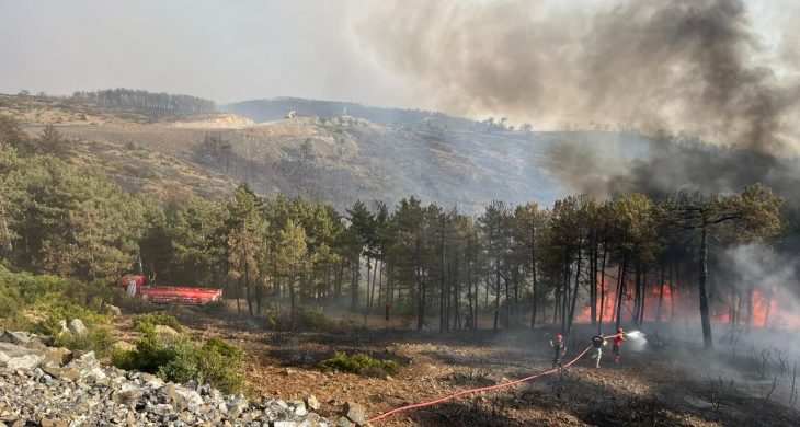 Kocaeli Büyükşehir Belediyesi’nden Bursa’daki yangına tam destek