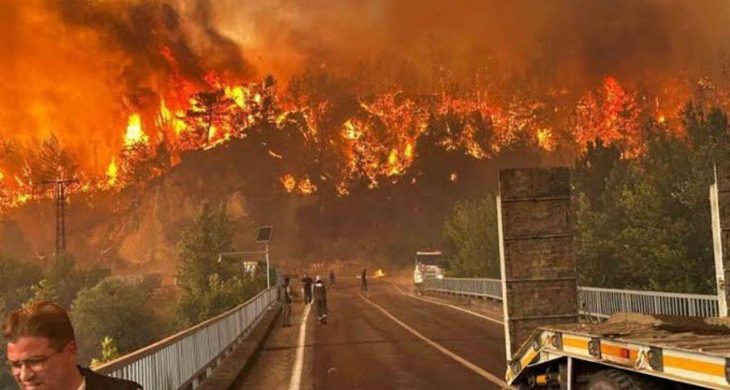 Bursa’daki orman yangını yeniden alevlendi: 1 itfaiye eri hayatını kaybetti