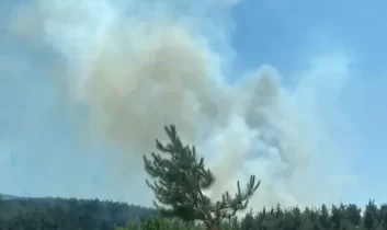 Bursa’da 3 noktada orman yangını