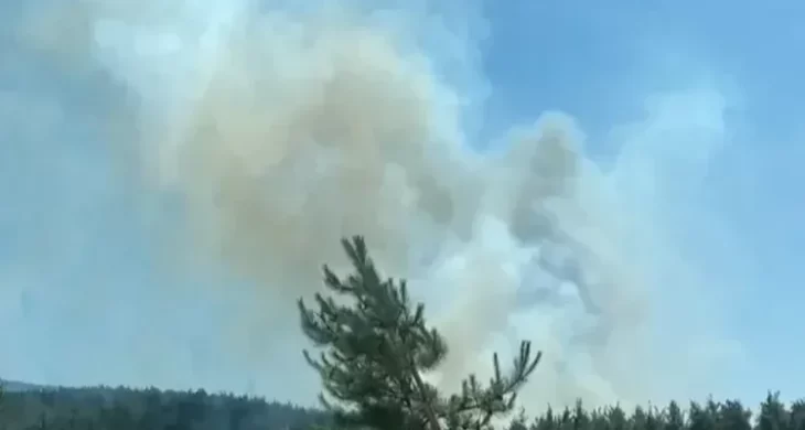 Bursa’da 3 noktada orman yangını