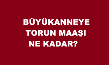 Büyükanneye Torun Maaşı 425 TL