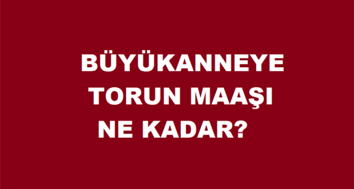 Büyükanneye Torun Maaşı 425 TL