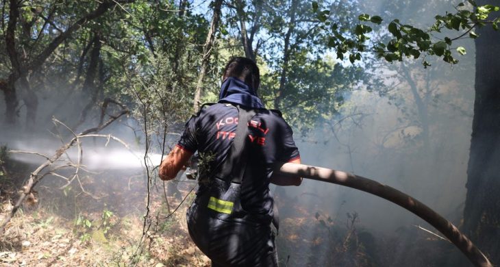 Kocaeli Büyükşehir, Karamürsel yangını için seferberlik ilan etti