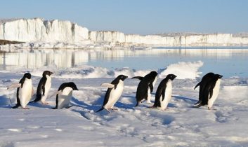 Dünyanın en eski buzu İngiltere’de: 1,5 milyon yıllık sır aydınlatılıyor