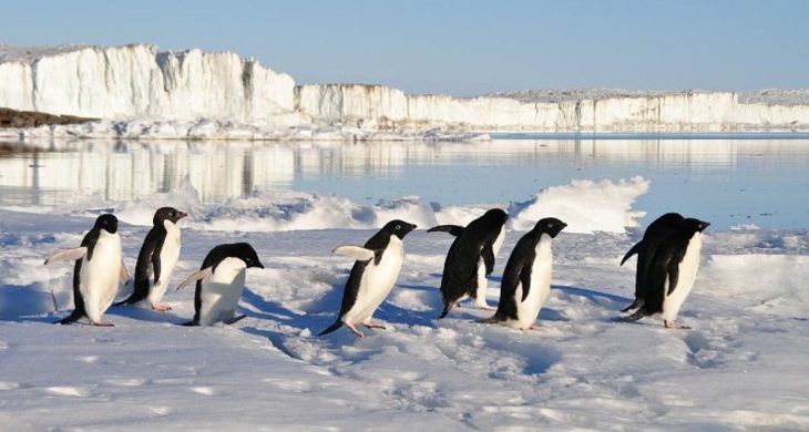 Dünyanın en eski buzu İngiltere’de: 1,5 milyon yıllık sır aydınlatılıyor