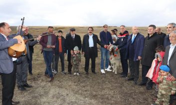 Kars’ta “Koç Katım Geleneği” coşkuyla sürdürülüyor