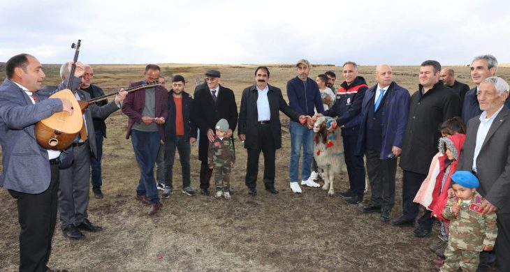 Kars’ta “Koç Katım Geleneği” coşkuyla sürdürülüyor