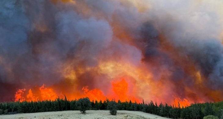 Gelibolu ve Eceabat’ta yangın alarmı: Tahliye sayısı artıyor