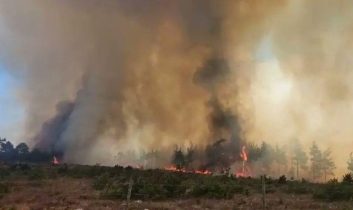 Orman yangınları Türkiye’de 4 milyon ton karbondioksit salınımına yol açtı