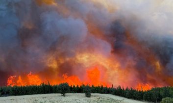 Adana’daki orman yangını kontrol altına alındı