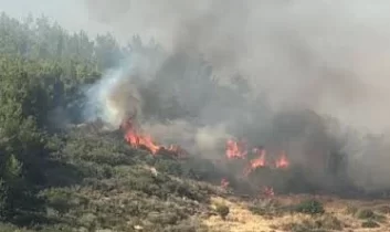 Çanakkale’de orman yangınına müdahale