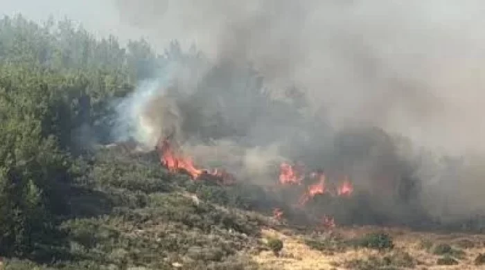 Çanakkale’de orman yangınına müdahale
