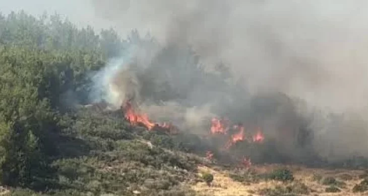 Çanakkale’de orman yangınına müdahale