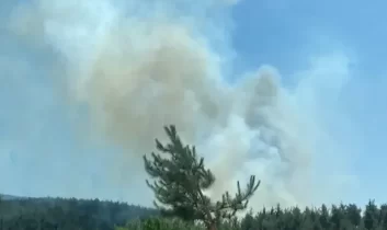 Çanakkale’de yangın ekiplerin müdahalesiyle kontrol altında