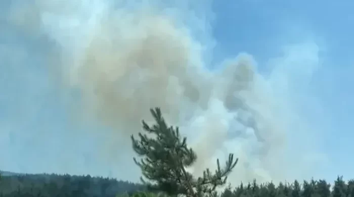 Çanakkale’de yangın ekiplerin müdahalesiyle kontrol altında