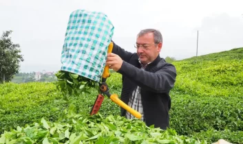 Çaykur Genel Müdürü Yusuf Ziya Alim, Çaykur işçilerinin kadro beklentisi için konuştu