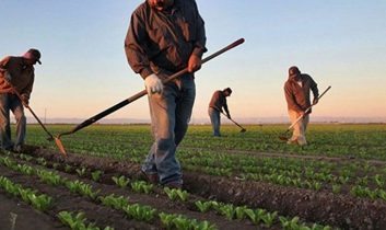 Çiftçilere 1,7 milyar liralık destekleme ödemesi yapılıyor
