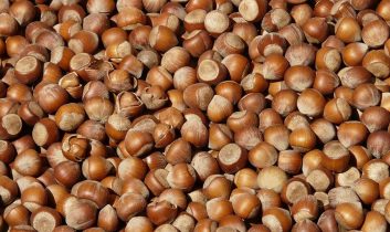 Fındık ihracatından 7 ayda 1,3 milyar dolar gelir sağlandı