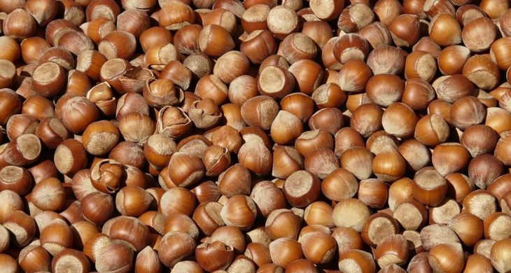 Doğu Karadeniz’in ocak ayı ihracatı 125,5 milyon doları geçti