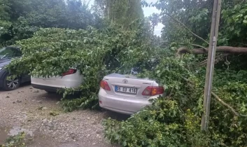 Çorum’da şiddetli yağış sonrası ağaç devrildi araçlar hasar gördü