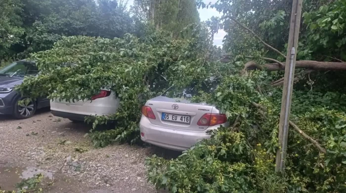 Çorum’da şiddetli yağış sonrası ağaç devrildi araçlar hasar gördü