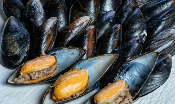 İstanbul’da midye şüphesi: Can kaybı 3’e yükseldi, 4 gözaltı