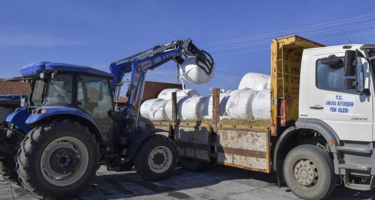 ABB, mısır silajı desteği ile üreticilerin yanında olmaya devam ediyor