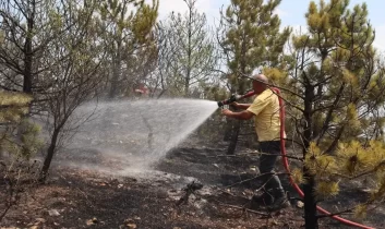 Amasya’da otluk alanda başlayan yangın ormana sıçradı: 20 dönüm alan küle döndü