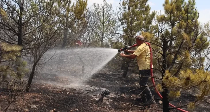 Amasya’da otluk alanda başlayan yangın ormana sıçradı: 20 dönüm alan küle döndü