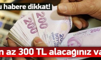Devletin size en az 300 TL borcu var