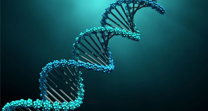 İnsan genomunda ‘hayalet kod’ keşfi!