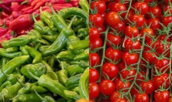 Sebze ihracatında ilk yarıda yüzde 10’luk artış