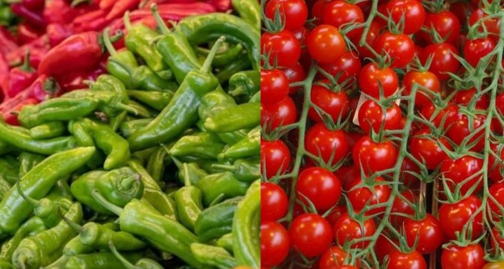 Sebze ihracatında ilk yarıda yüzde 10’luk artış