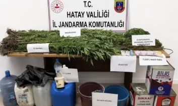 Hatay Dörtyol’da kenevir operasyonu
