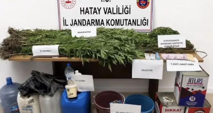 Hatay Dörtyol’da kenevir operasyonu