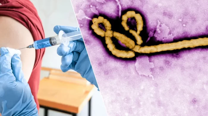 DSÖ’den Ebola uyarısı: “Aşı için 9 ay gerekebilir”