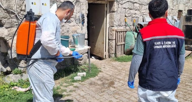 Kars’ta İlçe Tarım ve Orman Müdürlüğü ekipleri sahada: Yayıklı Köyü’nde dezenfeksiyon ve kontrol çalışması