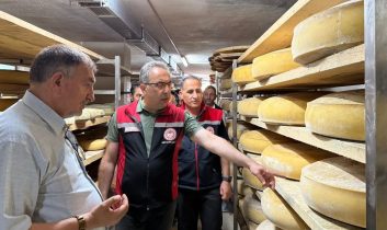 Boğatepe’de hayvancılık ve peynir yolculuğu: Geleneksel üretim yerinde incelendi