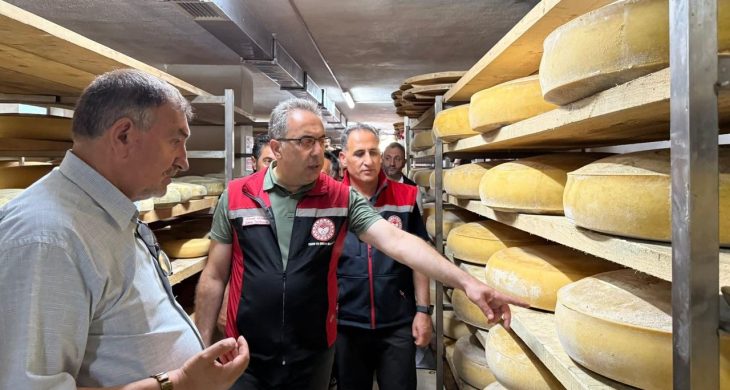 Boğatepe’de hayvancılık ve peynir yolculuğu: Geleneksel üretim yerinde incelendi