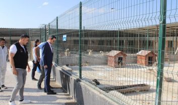 Selim Kaymakamı Mehmet Ali Semiz’den hayvan barınağına ziyaret