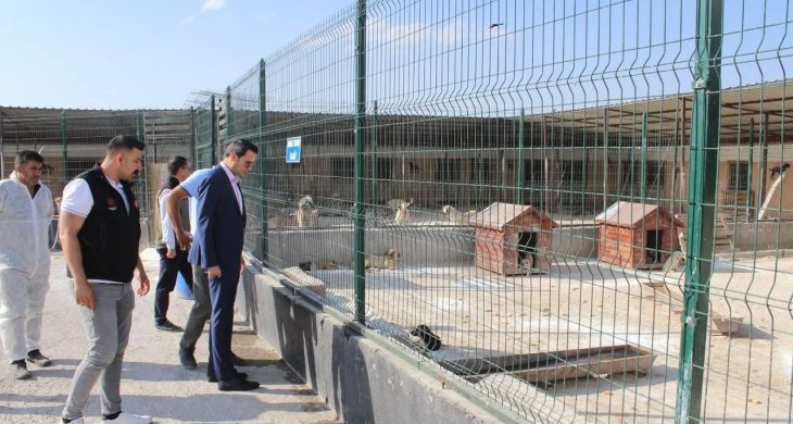 Selim Kaymakamı Mehmet Ali Semiz’den hayvan barınağına ziyaret