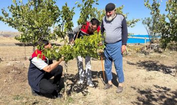 Bacalı Köyü’nde durgun T göz aşısı uygulaması ve takip çalışmaları yapıldı