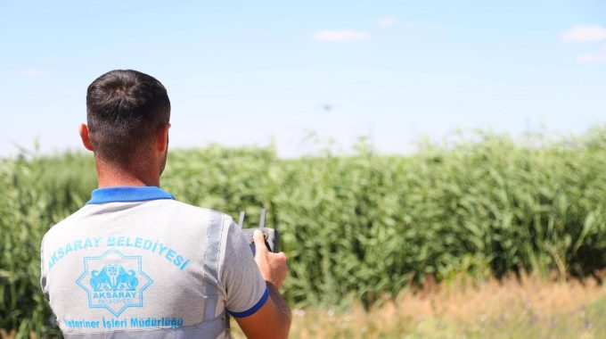 Aksaray Belediyesi’nden Biyolojik Mücadeleyle Haşerelere Erken Müdahale